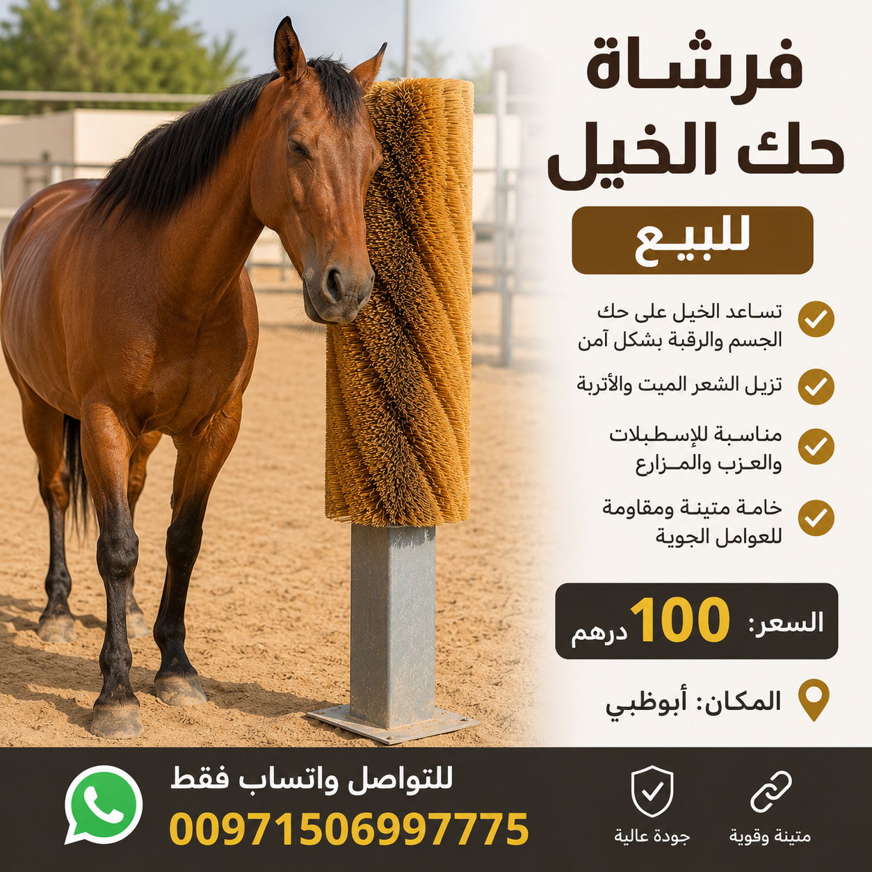 6fb96338-0e0e-49dc-b52d-54226745e0ae فرشاة حك الخيل - الصورة 1